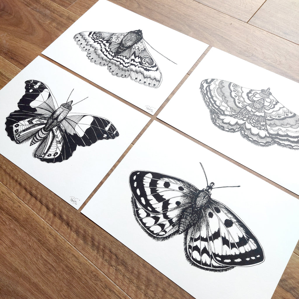 Spotty Moth Art Print