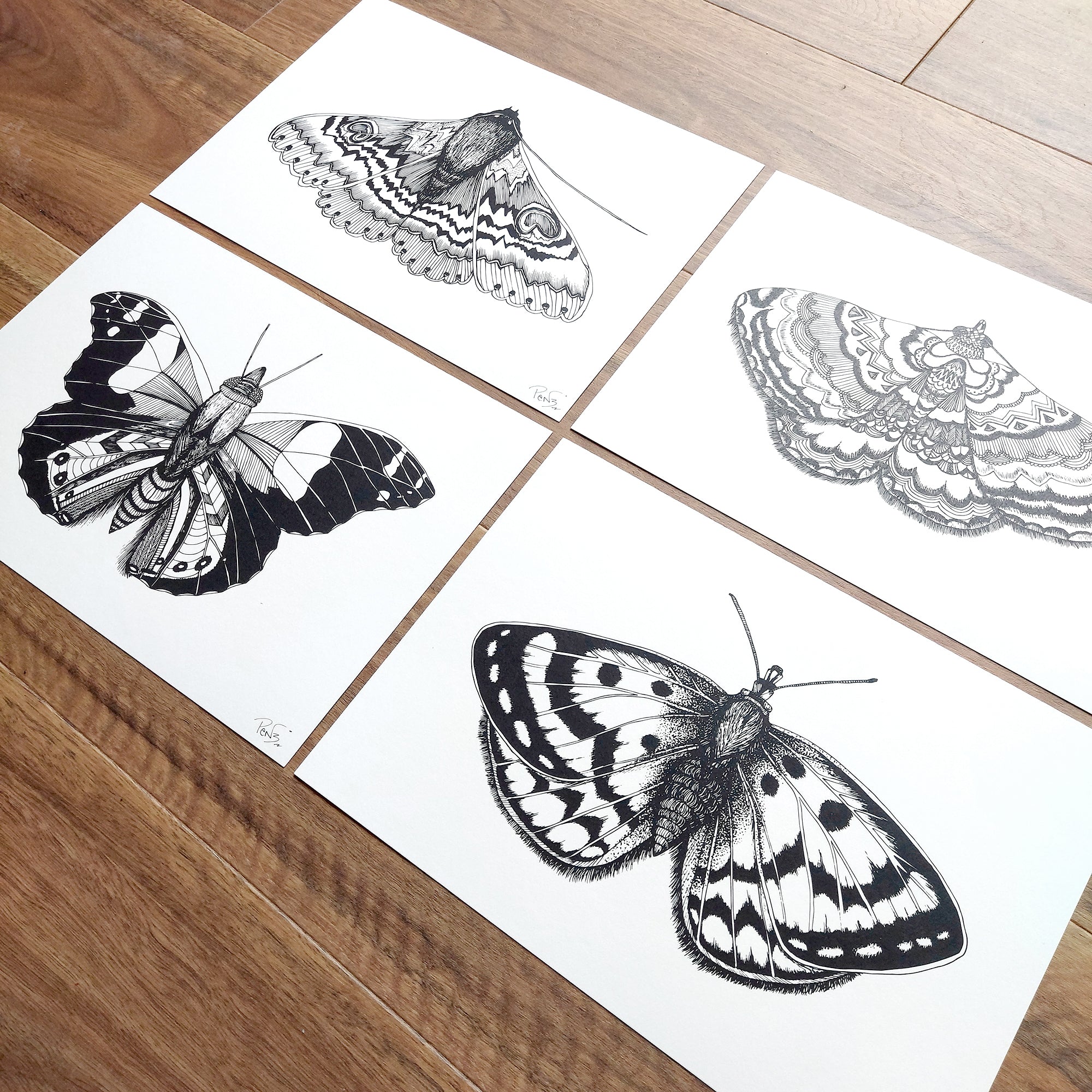 Spotty Moth Art Print