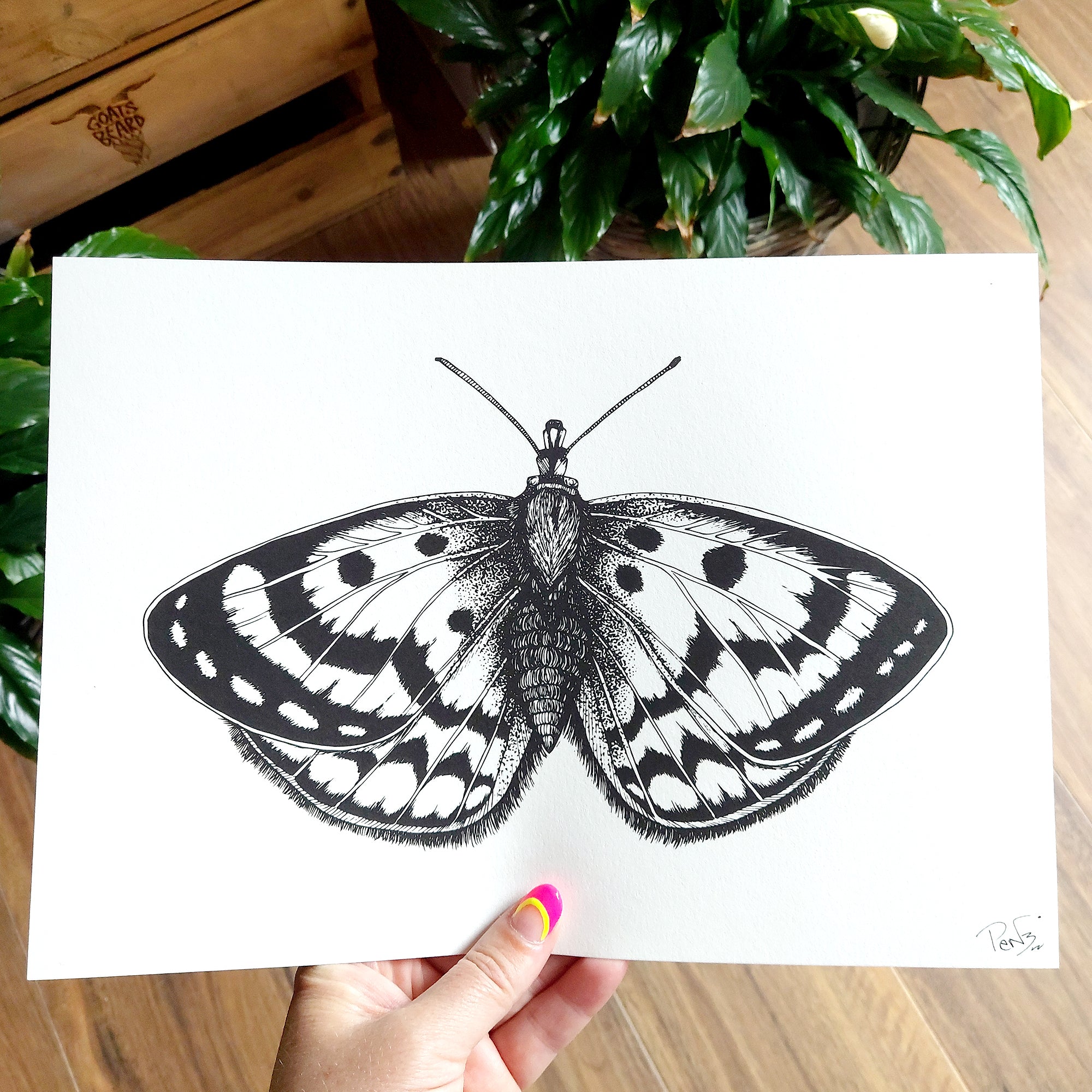 Spotty Moth Art Print
