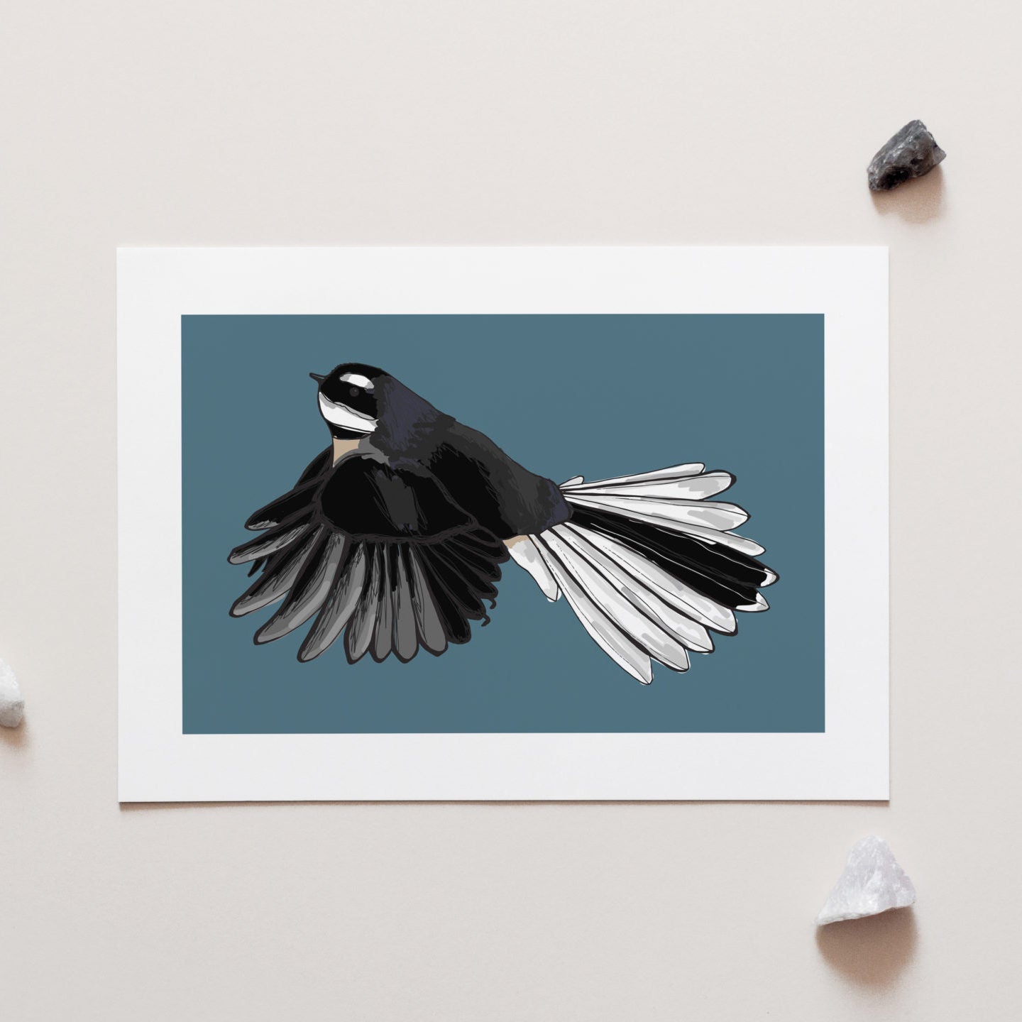 Fantail Art Print