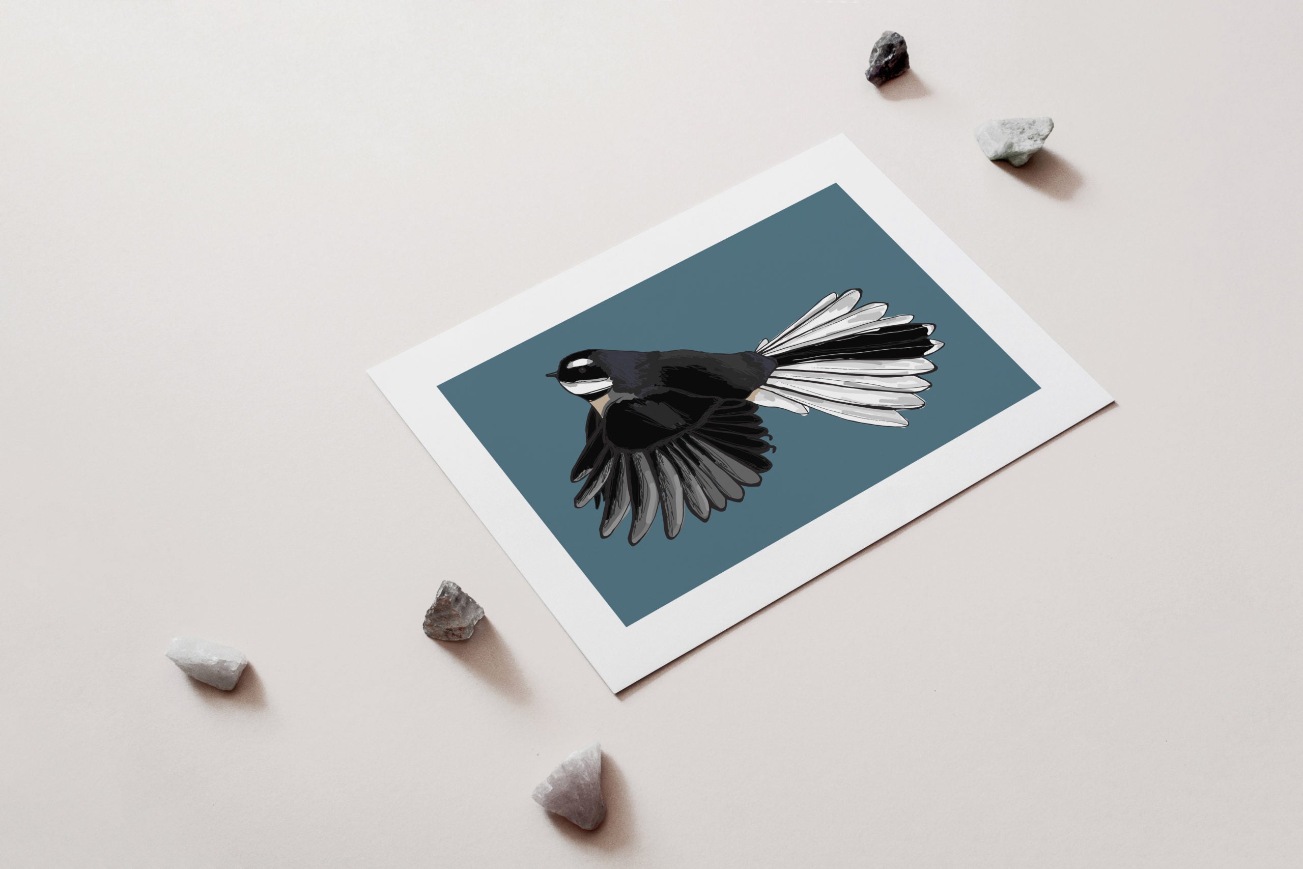 Fantail Art Print